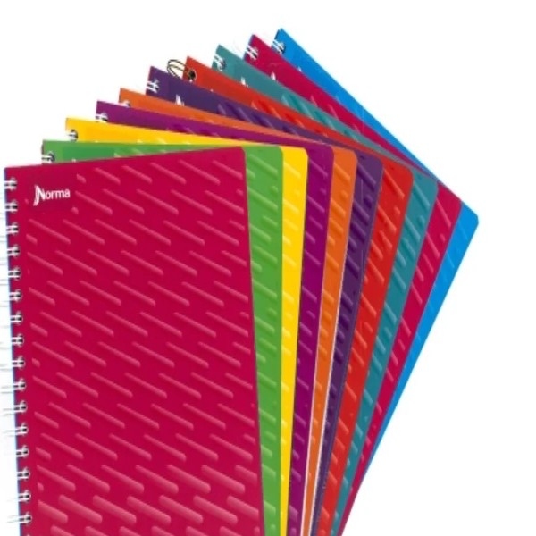 CUADERNO PROF. UNICOLOR NORMA 580813 RAYA ESP. 100H. PZA